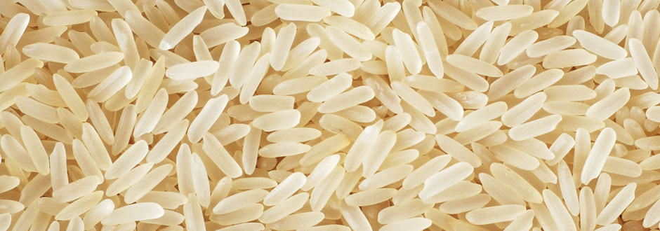 Cablevey الأرز الناقل