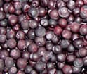 blueberry sorting, berry sorting