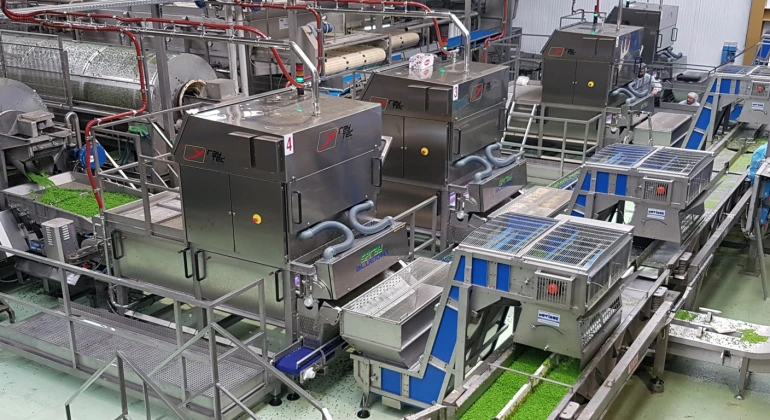 5 reason for optical sorter, why you need optical sorter, benefits of optical sorter