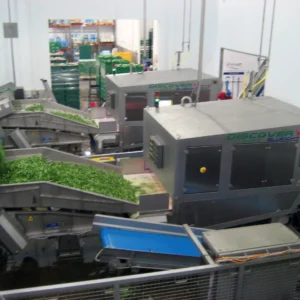 Discovery Fresh Cut 2