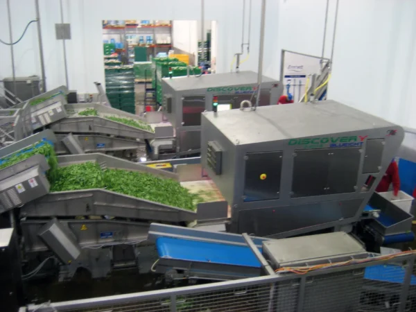 Discovery Fresh Cut 2