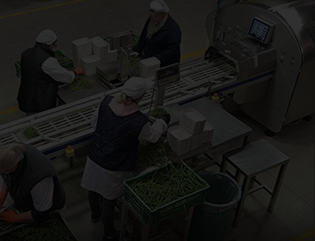 Fabbri Group machines