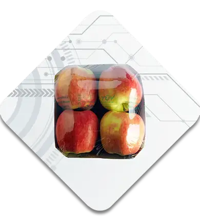 tray wrapping packaging sample
