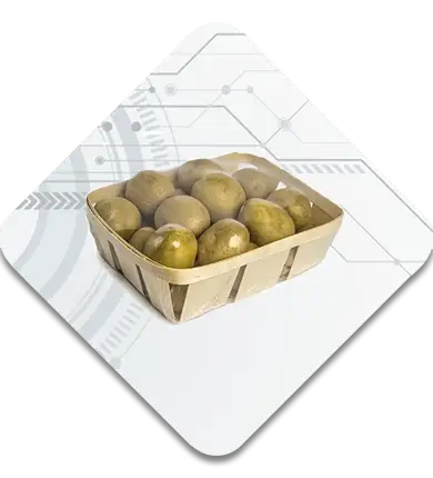 automatic tray wrapping