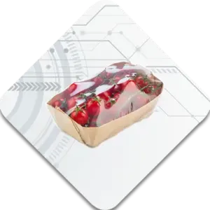 Elixa 24 Stretch Wrapper - Image 4