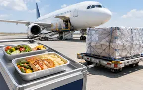 airline-industry-category